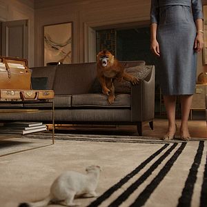 Photo His Dark Materials : À la croisée des mondes