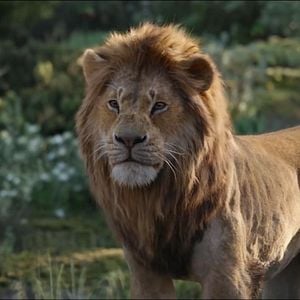 Photo Le Roi Lion