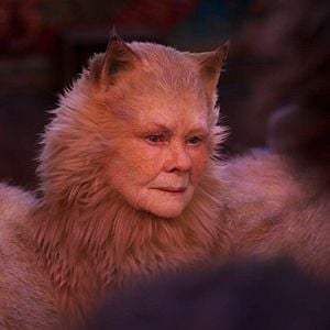 Photo Judi Dench
