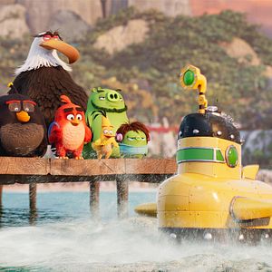 Photo Angry Birds : Copains comme cochons