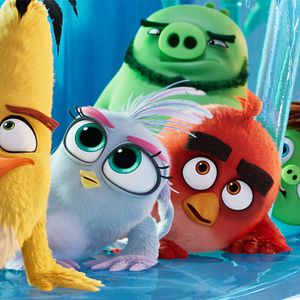 Photo Angry Birds : Copains comme cochons