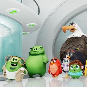 Photo Angry Birds : Copains comme cochons