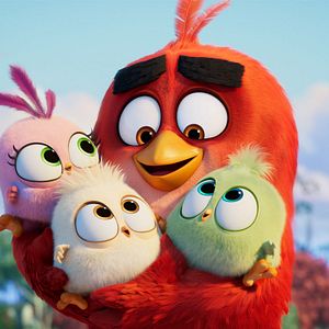 Photo Angry Birds : Copains comme cochons
