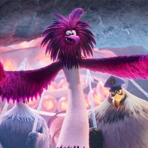 Photo Angry Birds : Copains comme cochons