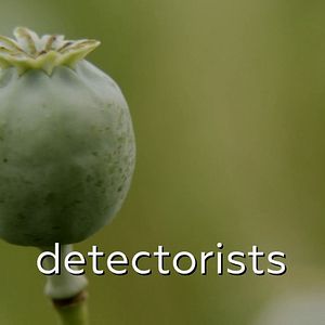 Photo Detectorists