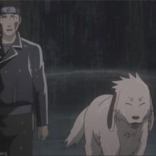Photo Naruto Shippuden