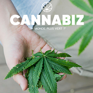 Photo Cannabiz