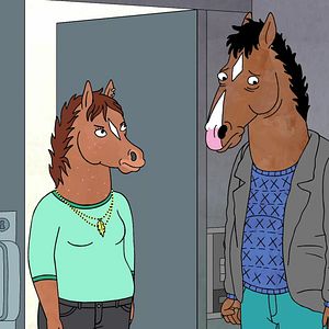 Photo BoJack Horseman