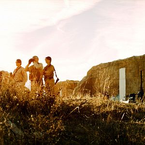 Photo  Shadow Wolves