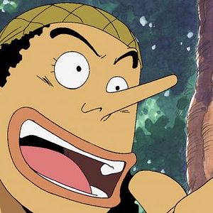 Photo One Piece