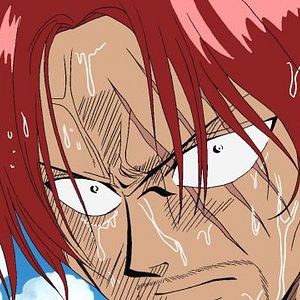 Photo One Piece
