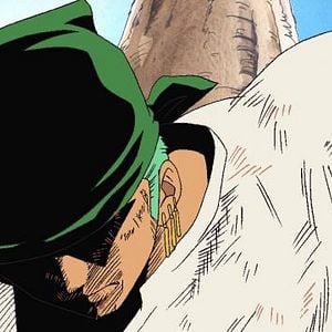 Photo One Piece