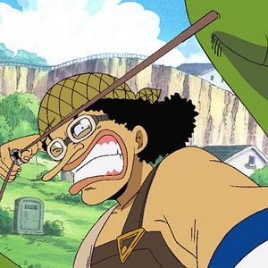 Photo One Piece