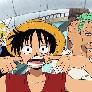 Photo One Piece
