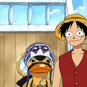Photo One Piece