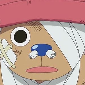 Photo One Piece