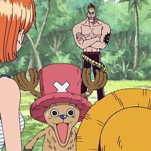 Photo One Piece