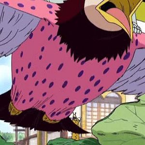 Photo One Piece