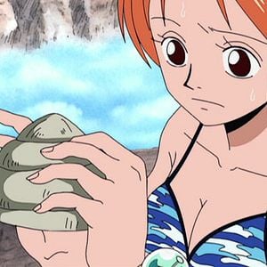 Photo One Piece