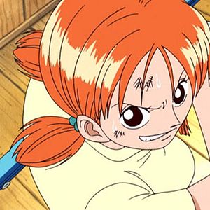 Photo One Piece