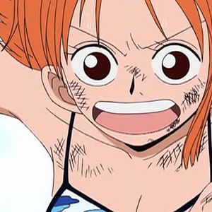 Photo One Piece