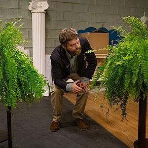 Photo Zach Galifianakis