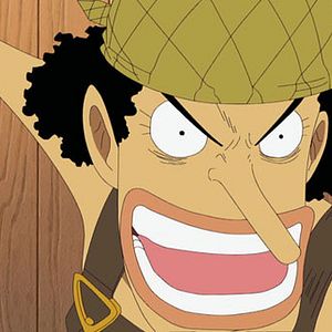 Photo One Piece