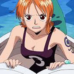 Photo One Piece