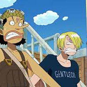 Photo One Piece