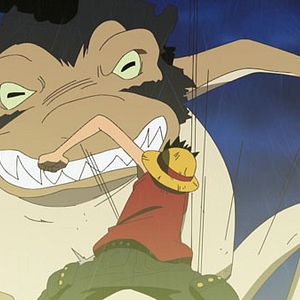 Photo One Piece