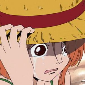 Photo One Piece