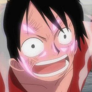 Photo One Piece