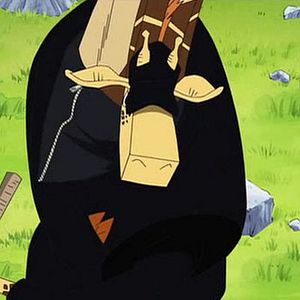 Photo One Piece