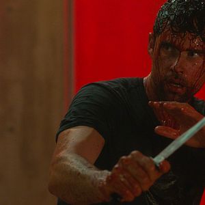 Photo Stephen Huszar