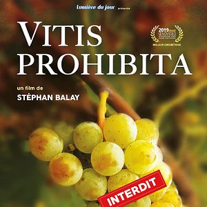 Photo Vitis Prohibita