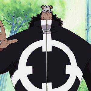 Photo One Piece