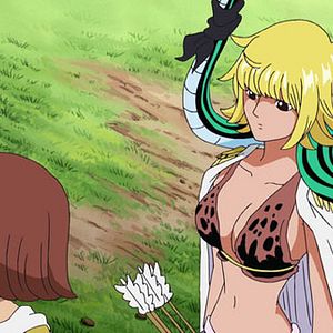 Photo One Piece