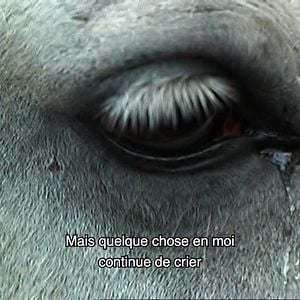 Photo Ne croyez surtout pas que je hurle