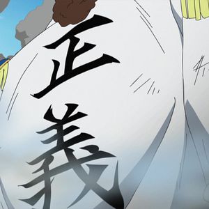 Photo One Piece