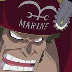 Photo One Piece