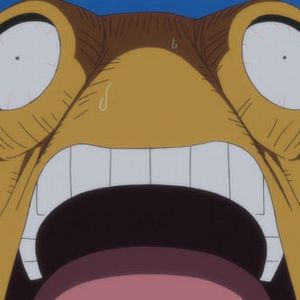 Photo One Piece