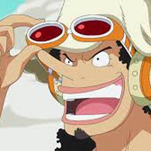Photo One Piece
