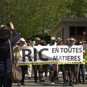 Photo Graines de ronds-points
