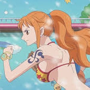Photo One Piece