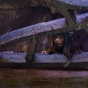 Photo Dark Crystal : le temps de la résistance
