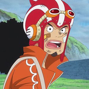 Photo One Piece