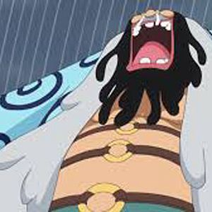 Photo One Piece