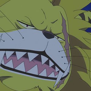 Photo One Piece