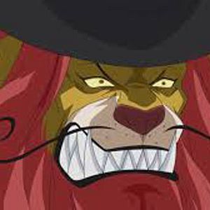 Photo One Piece