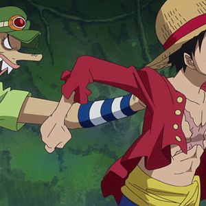 Photo One Piece